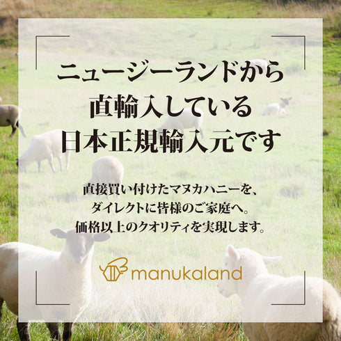 ★定期便★【トゥルーハニー】マヌカハニー/MGO1250+ MGO1000+ MGO500+ MGO300+