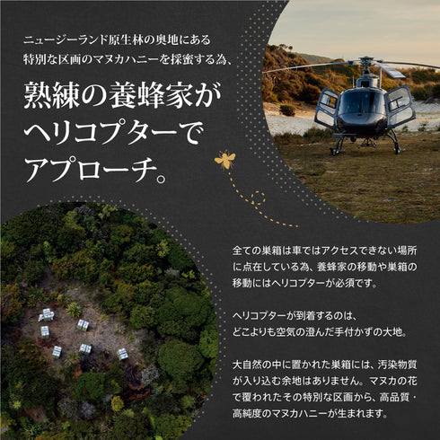 ★定期便★【トゥルーハニー】マヌカハニー/MGO1250+ MGO1000+ MGO500+ MGO300+