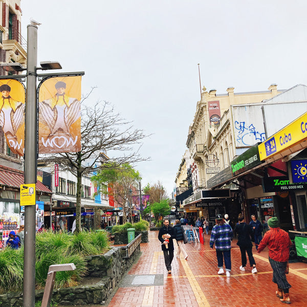 【NZ視察2022／NO.9】Wellington(ウェリントン)の街