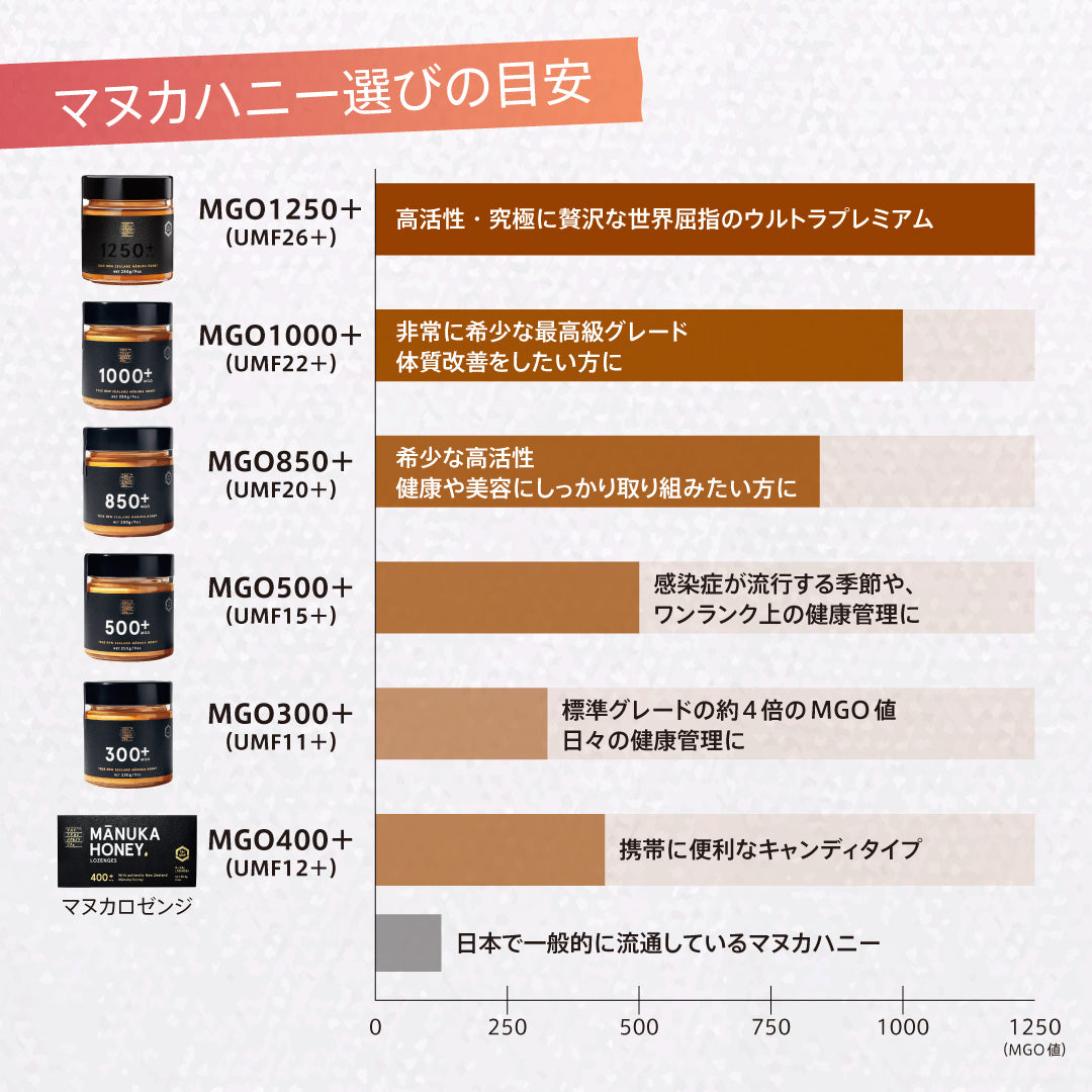 ★定期便★【トゥルーハニー】マヌカハニー／MGO500＋(UMF15＋) 10%OFF&送料無料