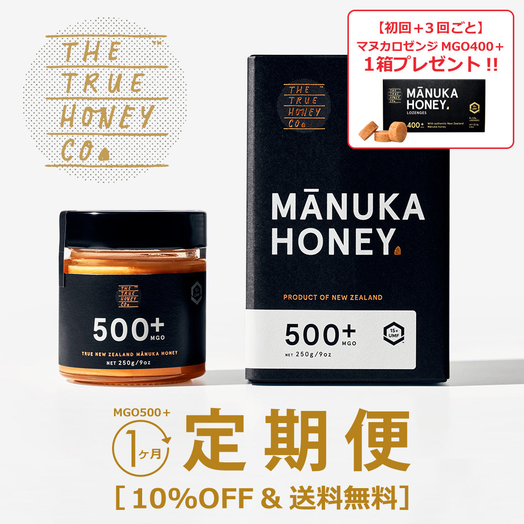 ★定期便★【トゥルーハニー】マヌカハニー／MGO500＋(UMF15＋) 10%OFF&送料無料