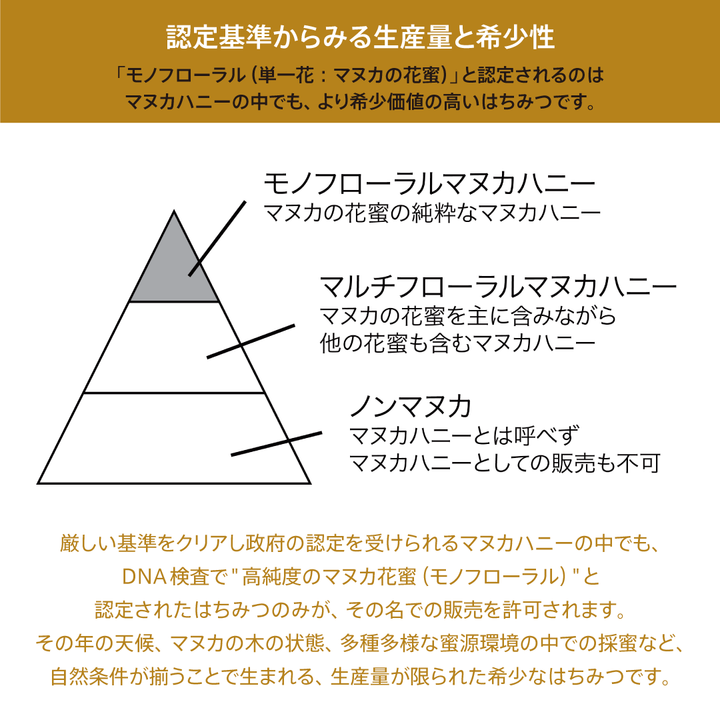 【アピビー】ハイグレードマヌカハニー(500g)／政府認定モノフローラルマヌカハニー