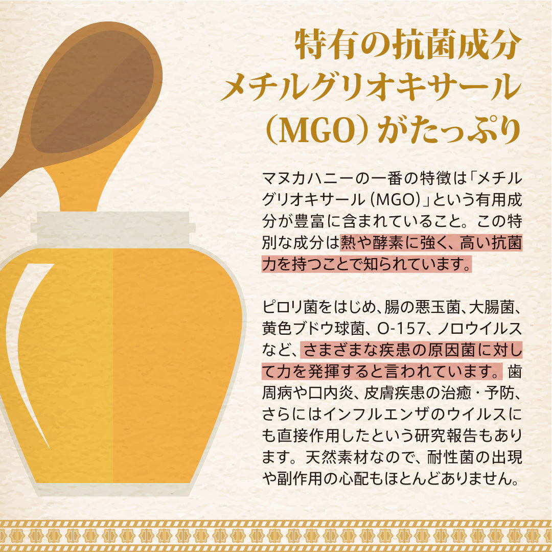 ★定期便★【トゥルーハニー】マヌカハニー／MGO500＋(UMF15＋) 10%OFF&送料無料